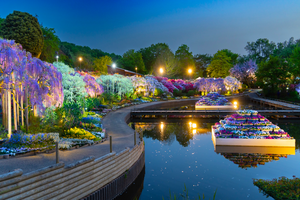 あしかがフラワーパーク