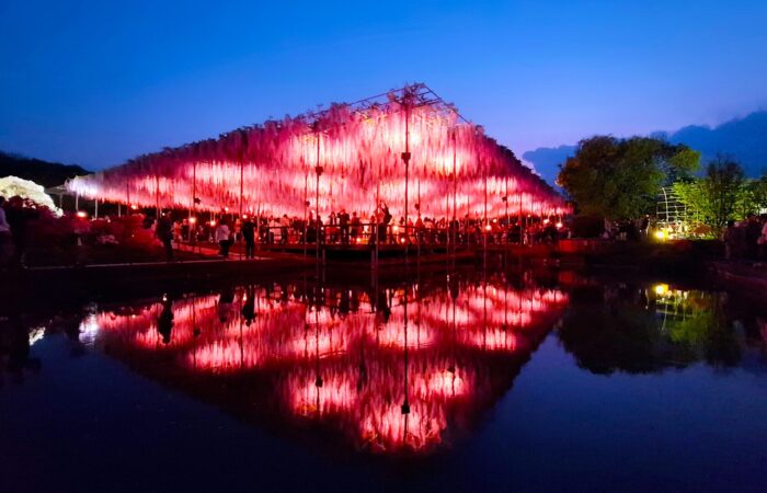 あしかがフラワーパーク