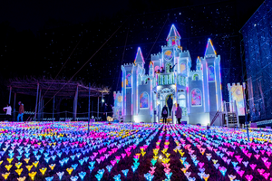 あしかがフラワーパーク