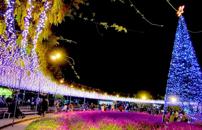 あしかがフラワーパーク