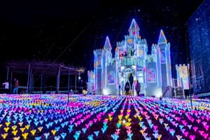 あしかがフラワーパーク