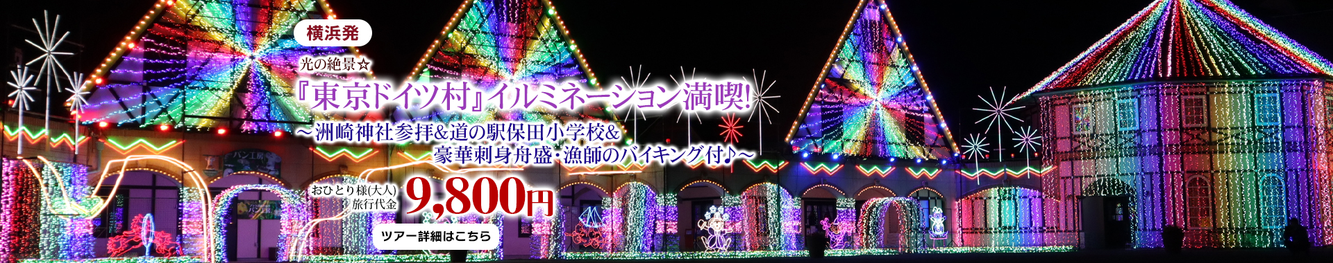 横浜発　光の絶景☆『東京ドイツ村』イルミネーション満喫！～洲崎神社参拝＆道の駅保田小学校＆豪華刺身舟盛・漁師のバイキング付♪～