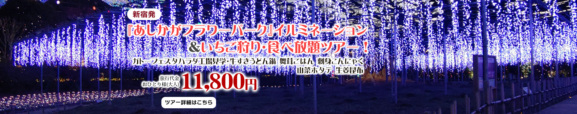 新宿発　『あしかがフラワーパーク』イルミネーション＆いちご狩り・食べ放題ツアー！～ガトーフェスタハラダ工場見学・牛すきうどん鍋 舞茸ごはん 刺身こんにゃく 山菜ホタテ 生姜昆布