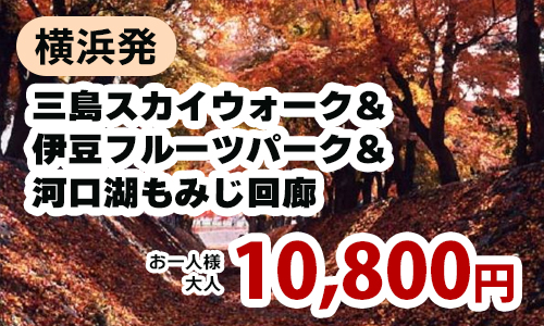 横浜発　富士山の絶景！『三島スカイウォーク』＆伊豆フルーツパーク＆河口湖もみじ回廊めぐりツアー