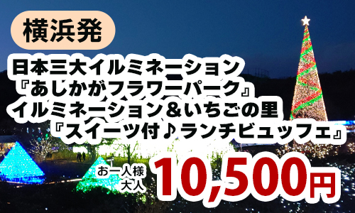横浜発　日本三大イルミネーション『あしかがフラワーパーク』イルミネーション＆いちごの里『スイーツ付♪ランチビュッフェ』
