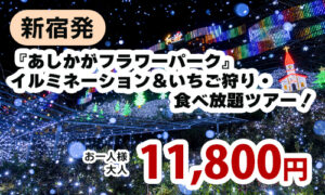 新宿発　『あしかがフラワーパーク』イルミネーション＆いちご狩り・食べ放題ツアー！