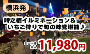 横浜発　時之栖イルミネーション＆いちご狩りで旬の味覚堪能♪