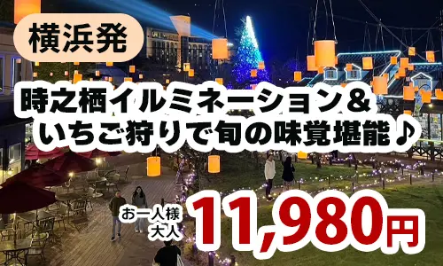 横浜発　時之栖イルミネーション＆いちご狩りで旬の味覚堪能♪