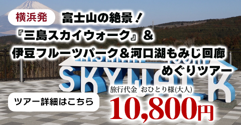横浜発　富士山の絶景！『三島スカイウォーク』＆伊豆フルーツパーク＆河口湖もみじ回廊めぐりツアー