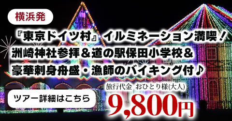 横浜発　光の絶景☆『東京ドイツ村』イルミネーション満喫！～洲崎神社参拝＆道の駅保田小学校＆豪華刺身舟盛・漁師のバイキング付♪～