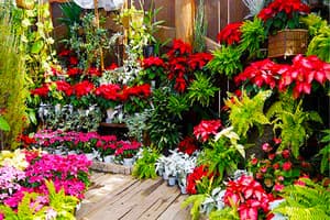 河口湖ハーブ庭園