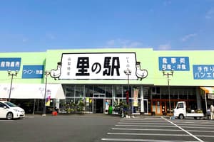 里の駅いちのみや