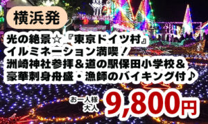 横浜発　光の絶景☆『東京ドイツ村』イルミネーション満喫！～洲崎神社参拝＆道の駅保田小学校＆豪華刺身舟盛・漁師のバイキング付♪～