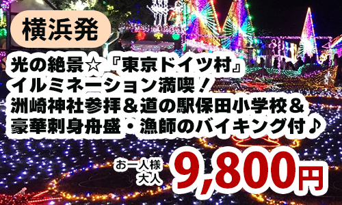 横浜発　光の絶景☆『東京ドイツ村』イルミネーション満喫！～洲崎神社参拝＆道の駅保田小学校＆豪華刺身舟盛・漁師のバイキング付♪～