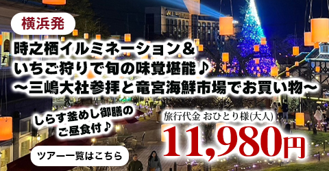 横浜発　時之栖イルミネーション＆いちご狩りで旬の味覚堪能♪～しらす釜めし御膳のご昼食付♪三嶋大社参拝と竜宮海鮮市場でお買い物～