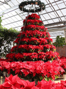 勝沼ハーブ庭園