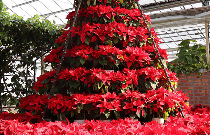 勝沼ハーブ庭園