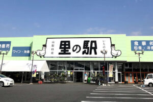 里の駅いちのみや