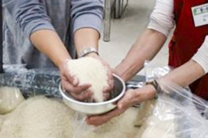 里の駅いちのみや