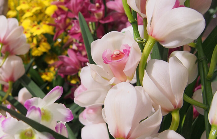 勝沼ハーブ庭園