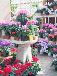 勝沼ハーブ庭園