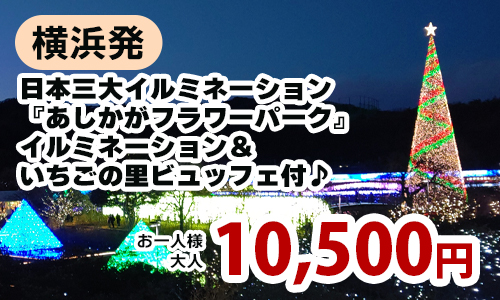  横浜発　日本三大イルミネーション『あしかがフラワーパーク』イルミネーション＆いちごの里ビュッフェ付♪