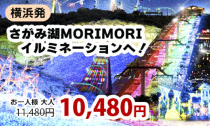 さがみ湖MORIMORI イルミネーションへ！