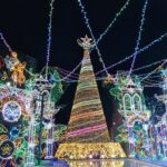 さがみ湖MORIMORI