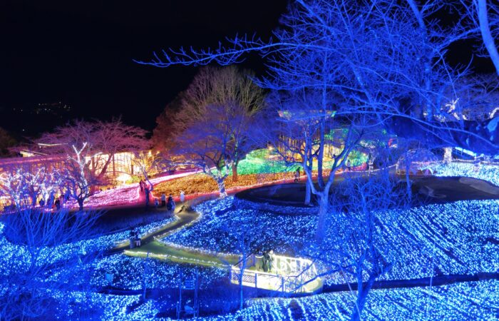 さがみ湖MORIMORI