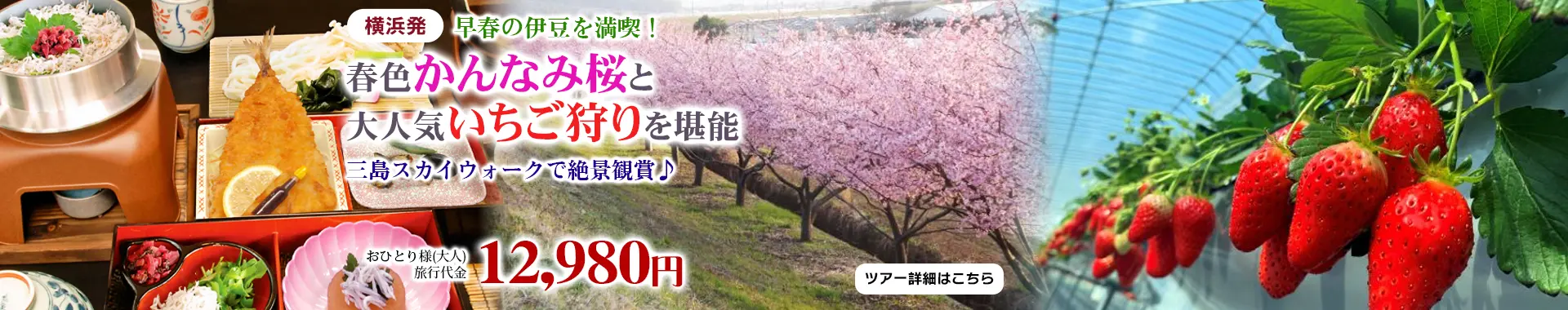 横浜発　早春の伊豆を満喫！春色かんなみ桜と大人気いちご狩りを堪能～三島スカイウォークで絶景観賞♪～