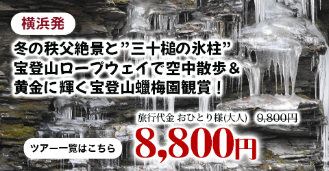 横浜発　冬の秩父絶景と”三十槌の氷柱”宝登山ロープウェイで空中散歩＆黄金に輝く宝登山蠟梅園観賞！