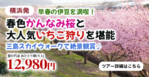 横浜発　早春の伊豆を満喫！春色かんなみ桜と大人気いちご狩りを堪能～三島スカイウォークで絶景観賞♪～