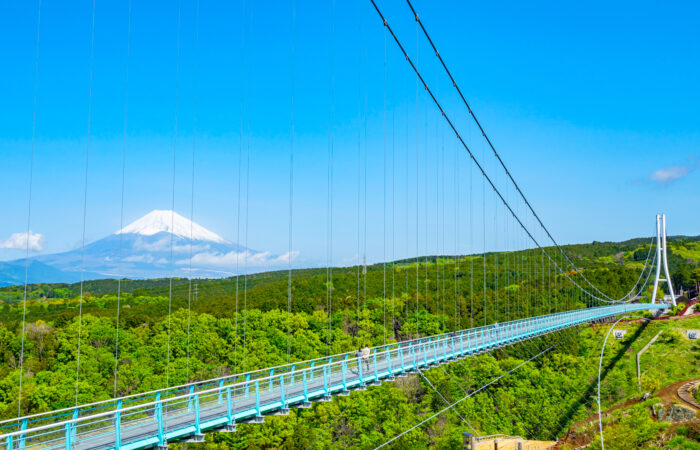 三島スカイウォーク
