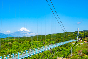 三島スカイウォーク