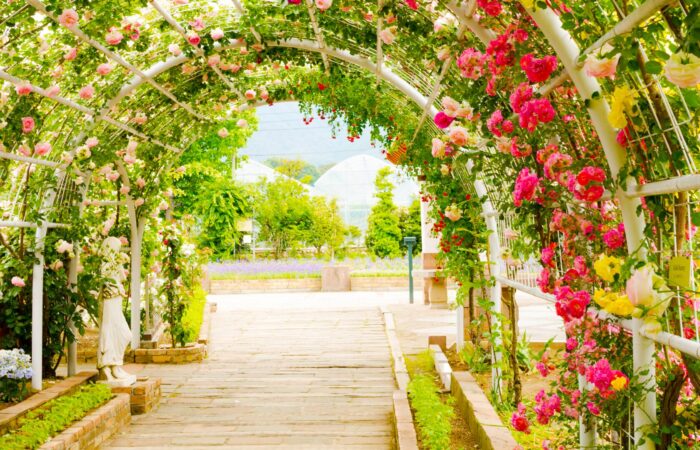 勝沼ハーブ庭園