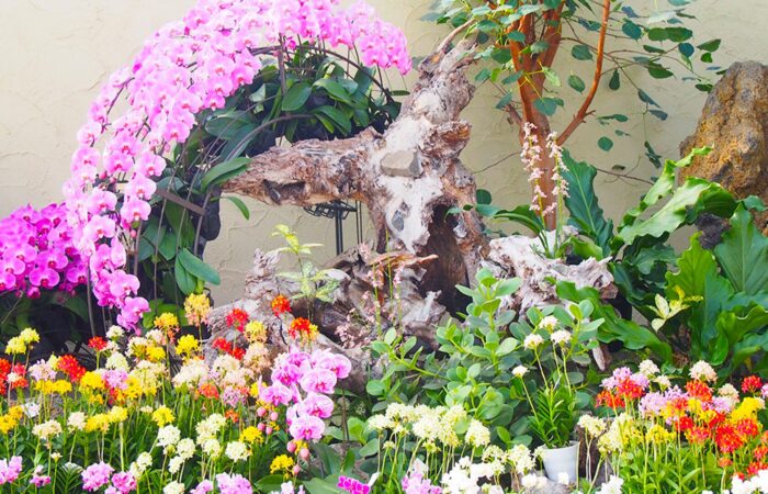 勝沼ハーブ庭園