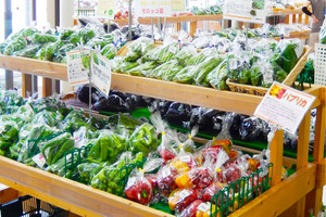道の駅 但馬のまほろば