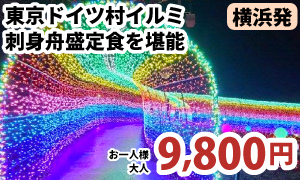 横浜発　光の絶景☆『東京ドイツ村』イルミネーション満喫！～洲崎神社参拝＆道の駅保田小学校＆豪華刺身舟盛・漁師のバイキング付♪～