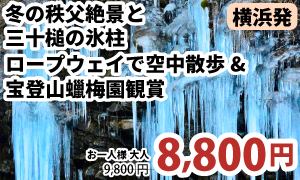 横浜発　冬の秩父絶景と”三十槌の氷柱”宝登山ロープウェイで空中散歩＆黄金に輝く宝登山蠟梅園観賞！