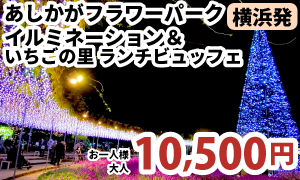 横浜発　日本三大イルミネーション『あしかがフラワーパーク』イルミネーション＆いちごの里ビュッフェ付♪
