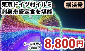 横浜発　光の絶景☆『東京ドイツ村』イルミネーション満喫！～洲崎神社参拝＆道の駅保田小学校＆豪華刺身舟盛・漁師のバイキング付♪～