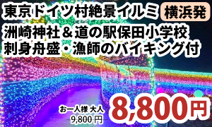 横浜発　光の絶景☆『東京ドイツ村』イルミネーション満喫！～洲崎神社参拝＆道の駅保田小学校＆豪華刺身舟盛・漁師のバイキング付♪～