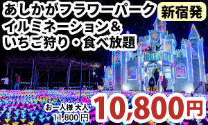 新宿発　『あしかがフラワーパーク』イルミネーション＆いちご狩り・食べ放題ツアー！
