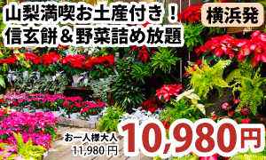 横浜発　お土産付きで大満足♪山梨満喫バスツアー♪～桔梗屋信玄餅＆クロワッサン＆野菜詰め放題＆スイス料理バイキング！～