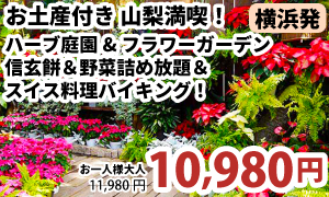 横浜発　お土産付きで大満足♪山梨満喫バスツアー♪～桔梗屋信玄餅＆クロワッサン＆野菜詰め放題＆スイス料理バイキング！～