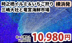 横浜発　時之栖イルミネーション＆いちご狩りで旬の味覚堪能♪