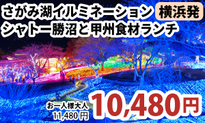 横浜発　さがみ湖イルミネーション 話題の『さがみ湖MORIMORI』イルミネーションへ！～シャトー勝沼ワインテイスティング×甲州食材ランチプレート付～