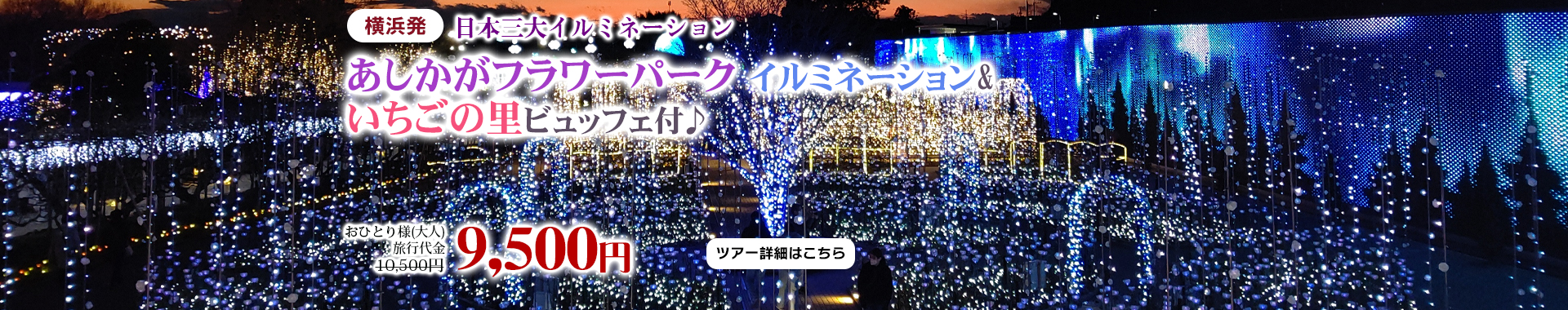 日本三大イルミネーション『あしかがフラワーパーク』イルミネーション＆いちごの里ビュッフェ付♪