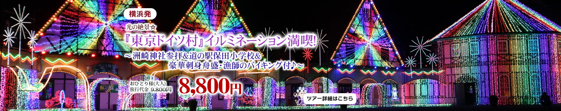 横浜発　光の絶景☆『東京ドイツ村』イルミネーション満喫！～洲崎神社参拝＆道の駅保田小学校＆豪華刺身舟盛・漁師のバイキング付♪～
