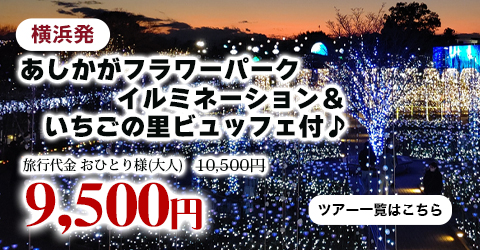 日本三大イルミネーション『あしかがフラワーパーク』イルミネーション＆いちごの里ビュッフェ付♪